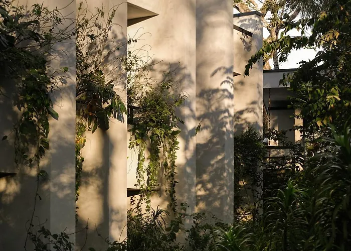Esh & Spa, A Member Of Design (adults Only) Hotel Nosara